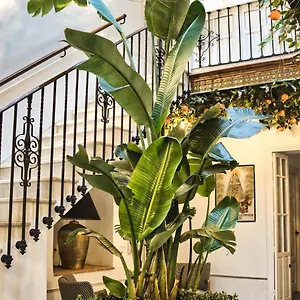 Casa Levante , Arcos de la Frontera España